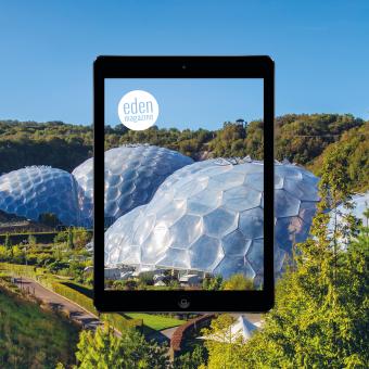iPad in front of the Eden Project